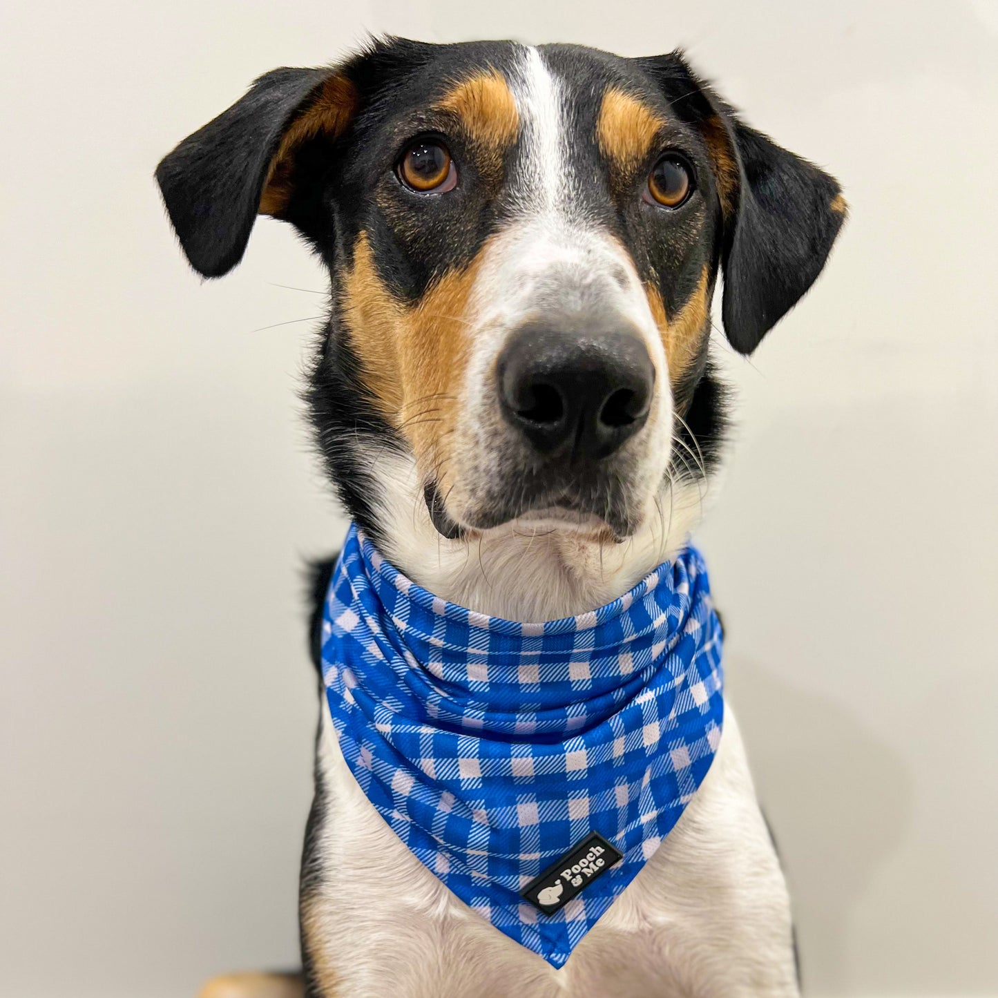 Azure Bandana